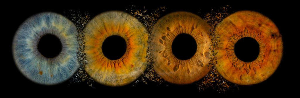 galerie | iris-fotografie-by-FotoHirsch | aus Deiner Iris wird Kunst ...