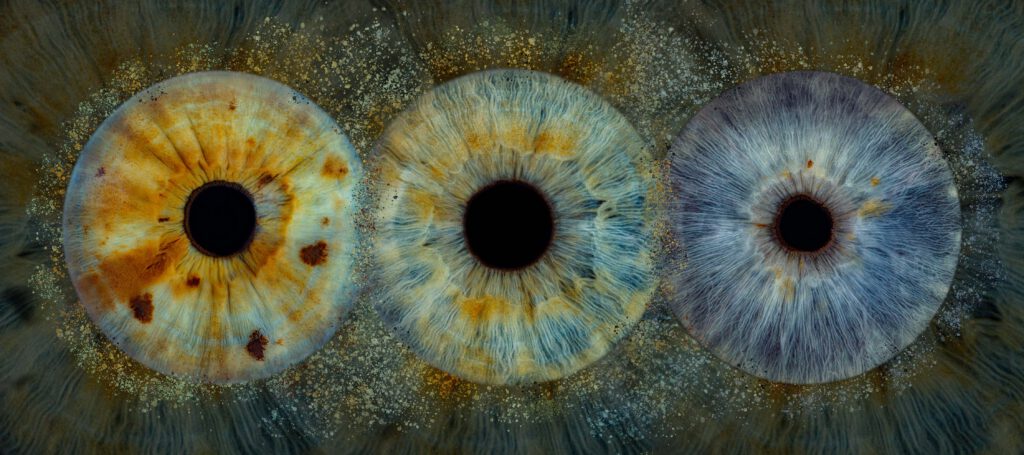 galerie | iris-fotografie-by-FotoHirsch | aus Deiner Iris wird Kunst ...