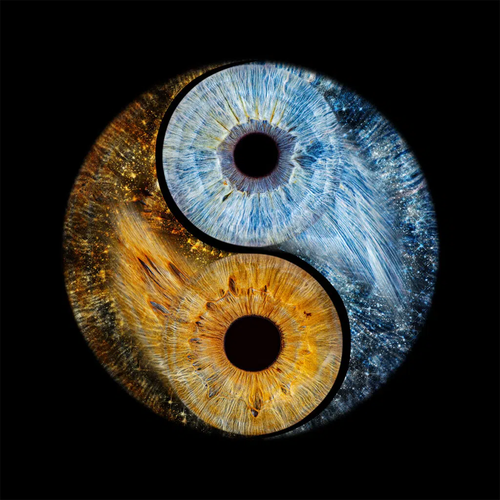 Iris Fotografie Paarbild Ying Yang Design